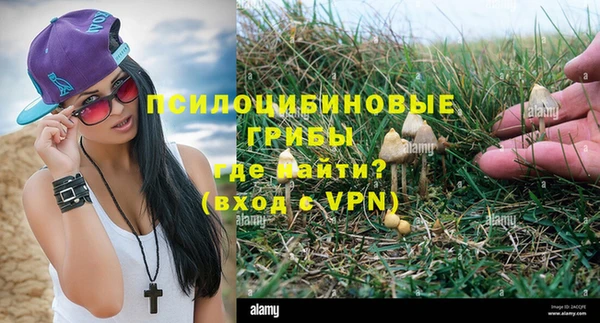 спиды Нея
