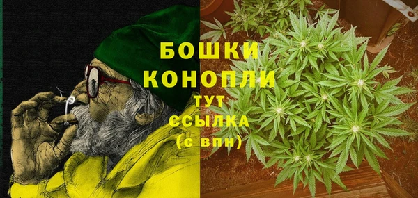спиды Нея