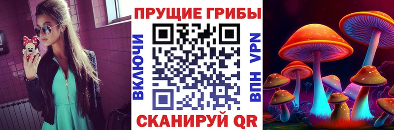 мориарти как зайти Урус-Мартан Псилоцибиновые грибы мицелий